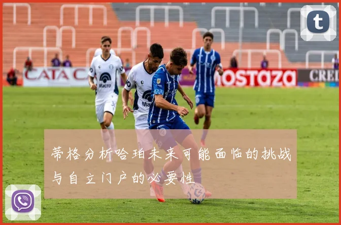 蒂格分析哈珀未来可能面临的挑战与自立门户的必要性