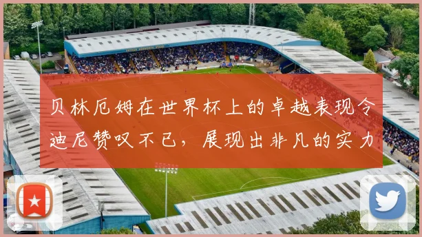 贝林厄姆在世界杯上的卓越表现令迪尼赞叹不已，展现出非凡的实力与魅力
