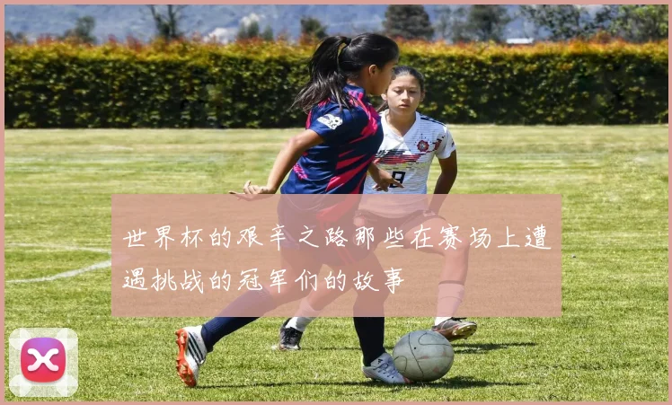 世界杯的艰辛之路那些在赛场上遭遇挑战的冠军们的故事